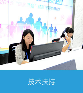 技術(shù)扶持